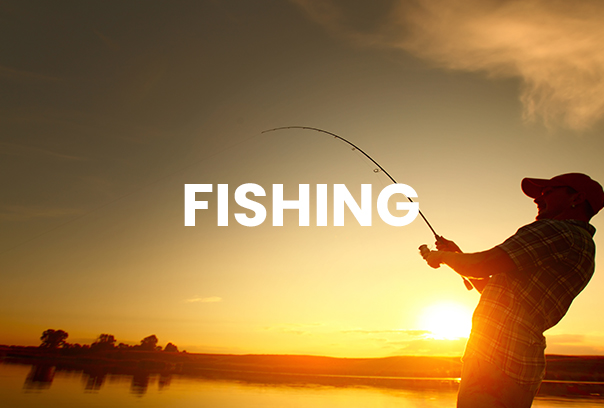 fishing-new